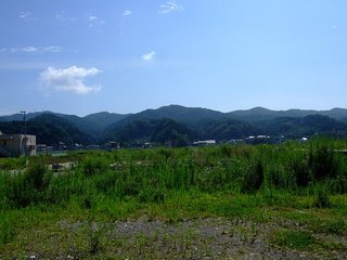 20130822 02.jpg